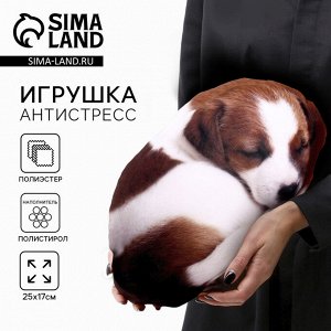 Игрушка антистресс, собака «Малыш Джек-рассел»