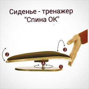 Сиденье тренажер  Толстунова для позвоночника Спина ОК , Эконом серый