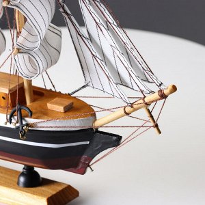 Сувенирная модель корабля «Пилад», борта тёмные, 33x31x5 см