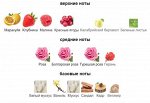 Sweet Rose Rosendo Mateu