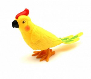 Попугай жёлтый