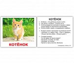 Комплект карточек МИНИ-рус. яз. &quot;Домашние животные&quot;