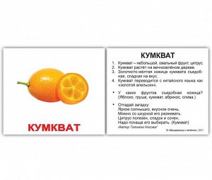 Комплект карточек МИНИ-рус.яз "Фрукты"