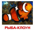 Комплект карточек “Обитатели воды”