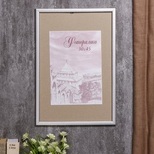 СИМА-ЛЕНД / Фоторамка сосна с19 серебро 30х45 см (пластиковый экран ...