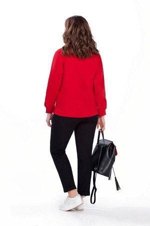 Комплект Комплект TEZA 158 красный/черный 
Состав ткани: Спандекс-3%; Хлопок-49%; Нейлон-48%; 
Рост: 164 см.

Комплект женский двухпредметный в спортивном стиле состоит из мягкого джемпера и брюк. Дж