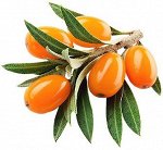 ОБЛЕПИХОВЫЙ сироп (380 г)