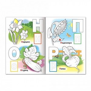 Книжка-раскраска А4 8л. HATBER с наклейками, Азбука, Растения,овощи,фрукты, 8Рц4н_12072(R147078)