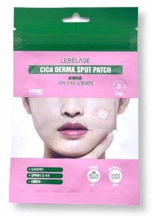 LEBELAGE CICA DERMA SPOT PATCH Точечные патчи для ухода за кожей с экстрактом центеллы 1лист*40шт