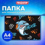 Папки и сумки для тетрадей, уроков труда