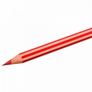 Карандаши цветные BIC "Evolution Stripes", 12 цветов, шестигранные, грифель 9505221