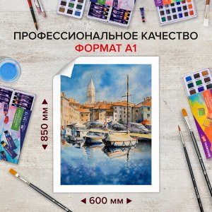 Бумага для акварели А1 (600х850 мм), КОМПЛЕКТ 5 листов, среднее зерно, 200 г/м2, ГОЗНАК, BRAUBERG ART CLASSIC, 114488