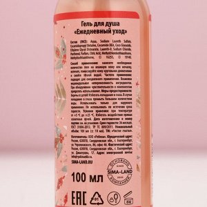 Подарочный набор новогодний «Верь в мечту», гель для душа, пена для ванны, 2x100 мл, Чистое счастье