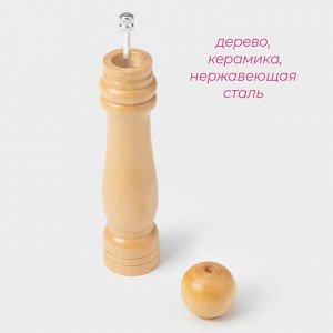 Мельница для специй Доляна «Дуновение леса», 25?4,8 см, керамический механизм, цвет бежевый