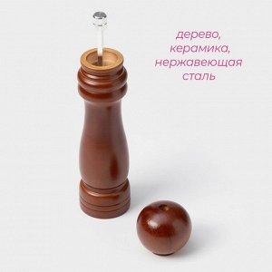 Мельница для специй Доляна «Дуновение леса», 21x5 см, керамический механизм, коричневая
