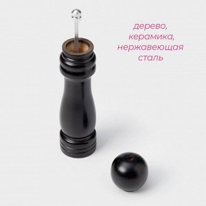 Мельница для специй Доляна «Дуновение леса», 21x4.5 см, керамический механизм, чёрная