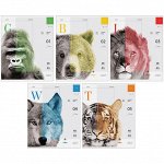 Тетрадь 48л., А5, клетка ArtSpace &quot;Природа. Face of wildlife&quot;, ВД-лак