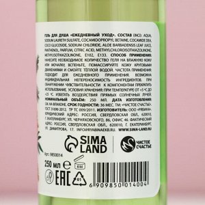 Подарочный набор «С новым годом», гель для душа и пена для ванны, 2x250 мл, Чистое счастье