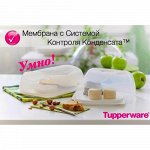 Умная Эко-сырница Кроха 14,5х13,5х8см - Tupperware® 1шт.