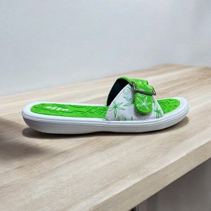 Сланцы зеленые