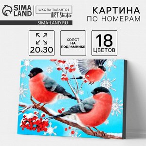 Картина по номерам на холсте с подрамником «Новый год! Снегири на ветке», 20x30 см
