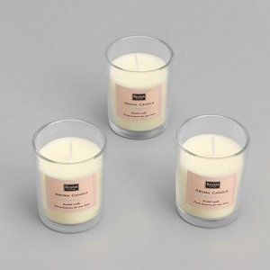 Набор свечей ароматических "Aroma Candle", гранат, 3 шт
