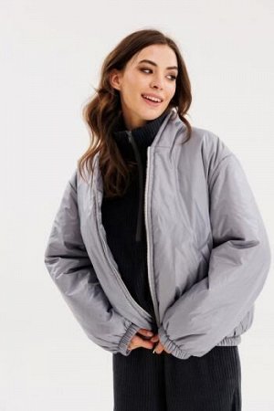 Куртка Тип одежды: Женские куртки
Цвет: серый
Состав: ПЭ 100%; подкладка- ПЭ 100%
Рост: 170

Куртка выполнена из плащевой ткани с утеплителем Isosoft. Спереди прорезные карманы и застежка до верха н