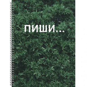 Тетрадь 120 л А4 клетка "Канц-Эксмо Пиши" евроспираль