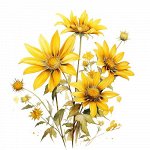 Мацерат АРНИКА, Arnica montana