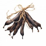 Эфирное масло Иланг- Иланга Cananga odorata  5 мл.