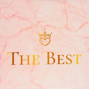 Пакет ламинированный  "The Best", XXL  61 х 46 х 20 см