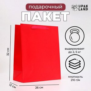 Пакет подарочный ламинированный «Фуксия», M 26x32x12 см