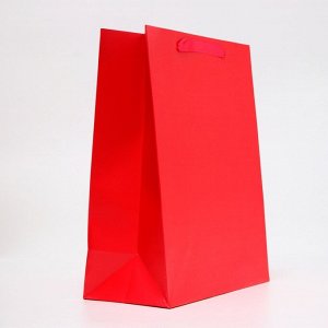 Пакет подарочный ламинированный «Фуксия», M 26x32x12 см