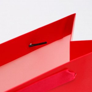 Пакет подарочный ламинированный «Фуксия», M 26x32x12 см