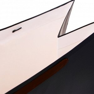 Пакет ламинированный Present, XXL 46x61x20 см