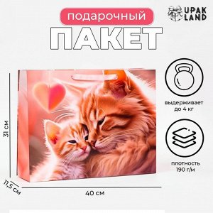Пакет ламинированный горизонтальный «Котики», 40x31x11.5 см