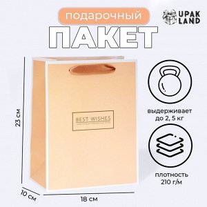 Пакет ламинированный «Ваниль», MS 18x23x10 см