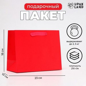 Пакет подарочный ламинированный «Фуксия», MS 23x18x10 см