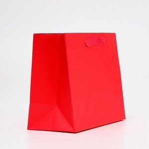 Пакет подарочный ламинированный «Фуксия», MS 23x18x10 см