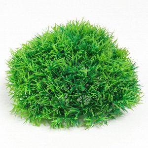 Искусственное растение шар самшитовый (самшит), размер 18x18 см