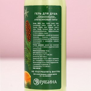 Подарочный набор новогодний женский «Чудес и подарков»: гель для душа и пена для ванны, 2x100 мл, Чистое счастье