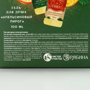 Подарочный набор новогодний женский «Чудес и подарков»: гель для душа и пена для ванны, 2x100 мл, Чистое счастье