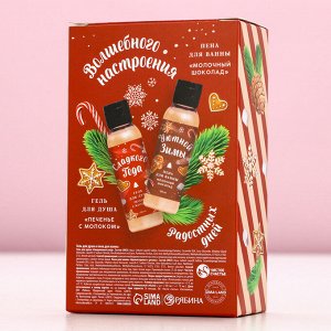 Подарочный набор новогодний женский «Тепла и Уюта»: гель для душа и пена для ванны, 2x100 мл, Чистое счастье