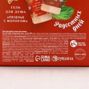 Подарочный набор новогодний женский «Тепла и Уюта»: гель для душа и пена для ванны, 2x100 мл, Чистое счастье