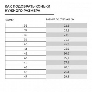 Коньки хоккейные прокатные Winter Star.