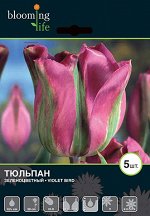 Tulip Violet Bird