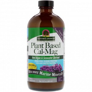 Nature&#x27 - s Answer, Plant Based Cal-Mag, Vanilla Cream Flavor, 16 fl oz (480 ml)