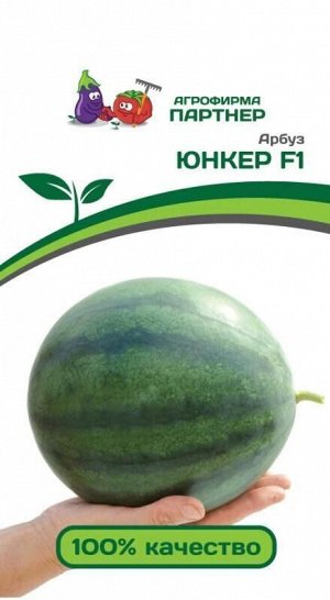 Арбуз Юнкер F1