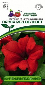 Петуния &quot;Сауэр&quot; Ред Вельвет F1 кустовая крупноцветковая