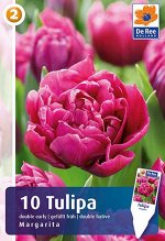 Tulip Margarita